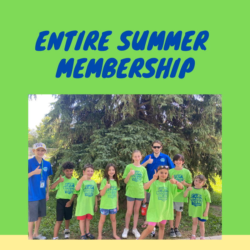 Summer camp options Wolchek Academy of Martial Arts